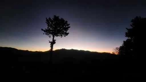 Sunrise in Alishan, Taiwan