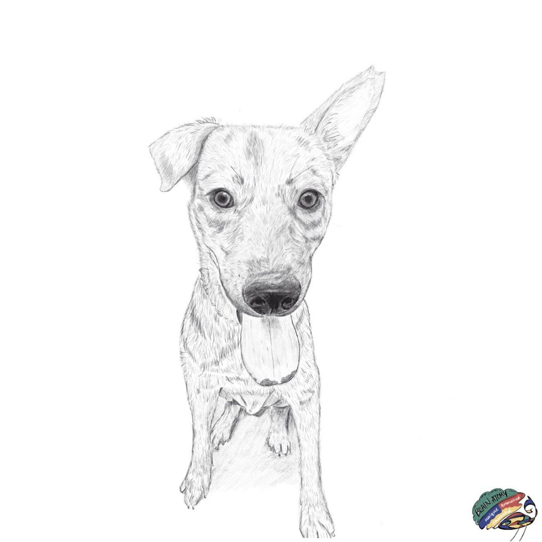 Digital Art - Pet Portrait