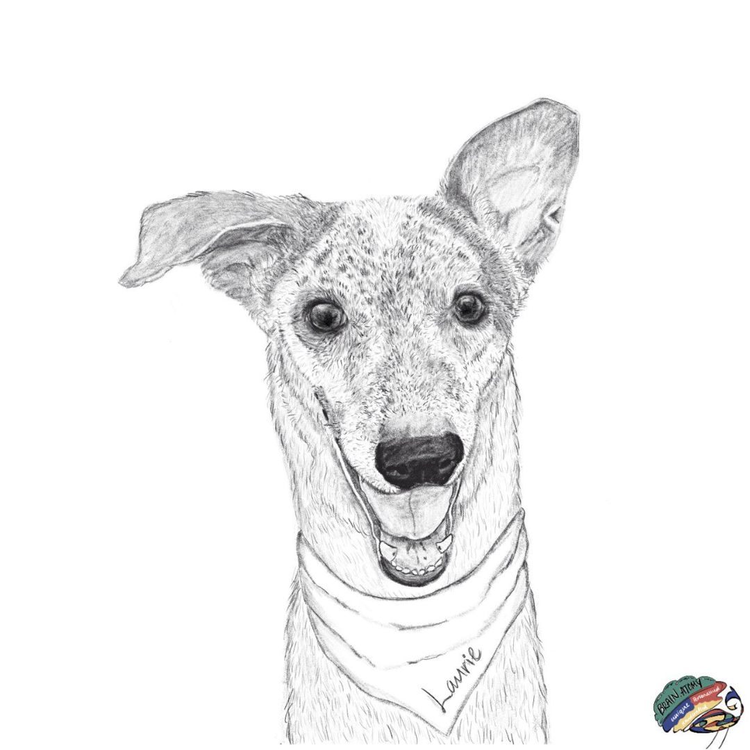 Digital Art - Pet Portrait