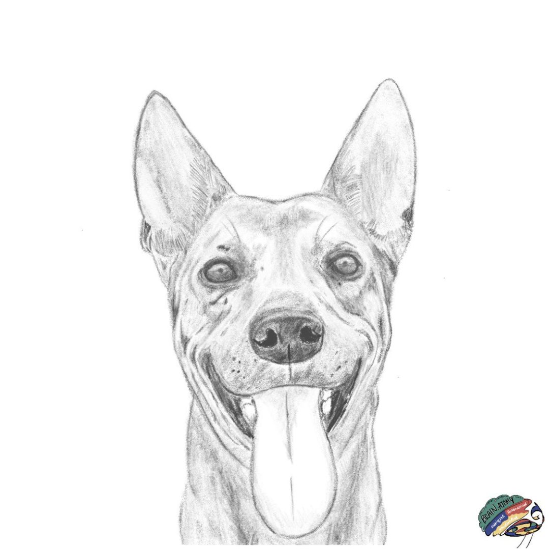 Digital Art - Pet Portrait